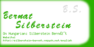 bernat silberstein business card